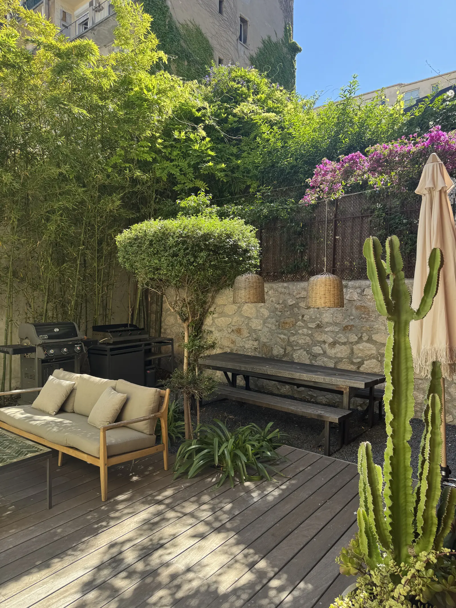Jardin — cactus, bougainvillée, mobilier d'extérieur