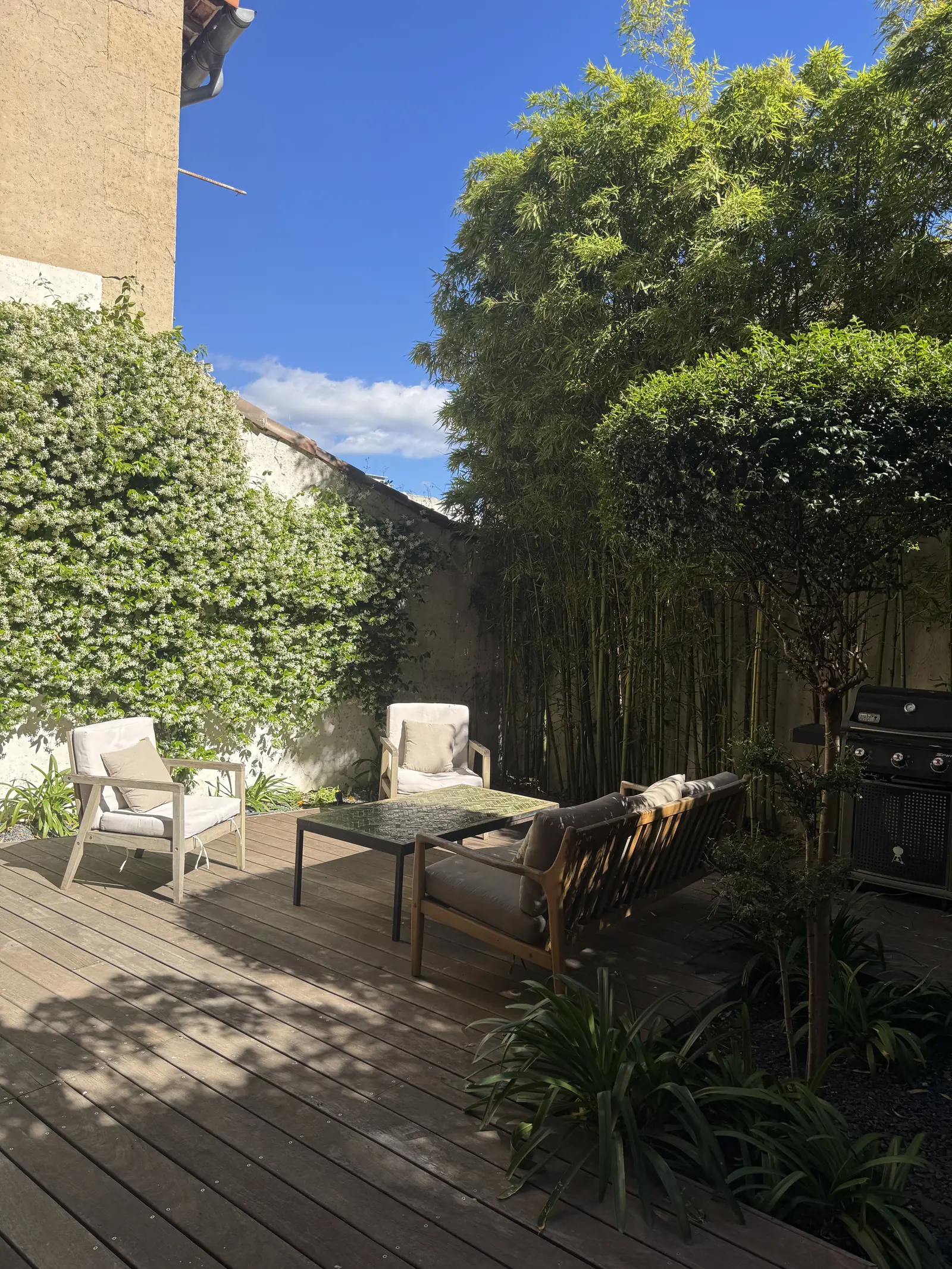 Jardin — arbre et ciel marseillais